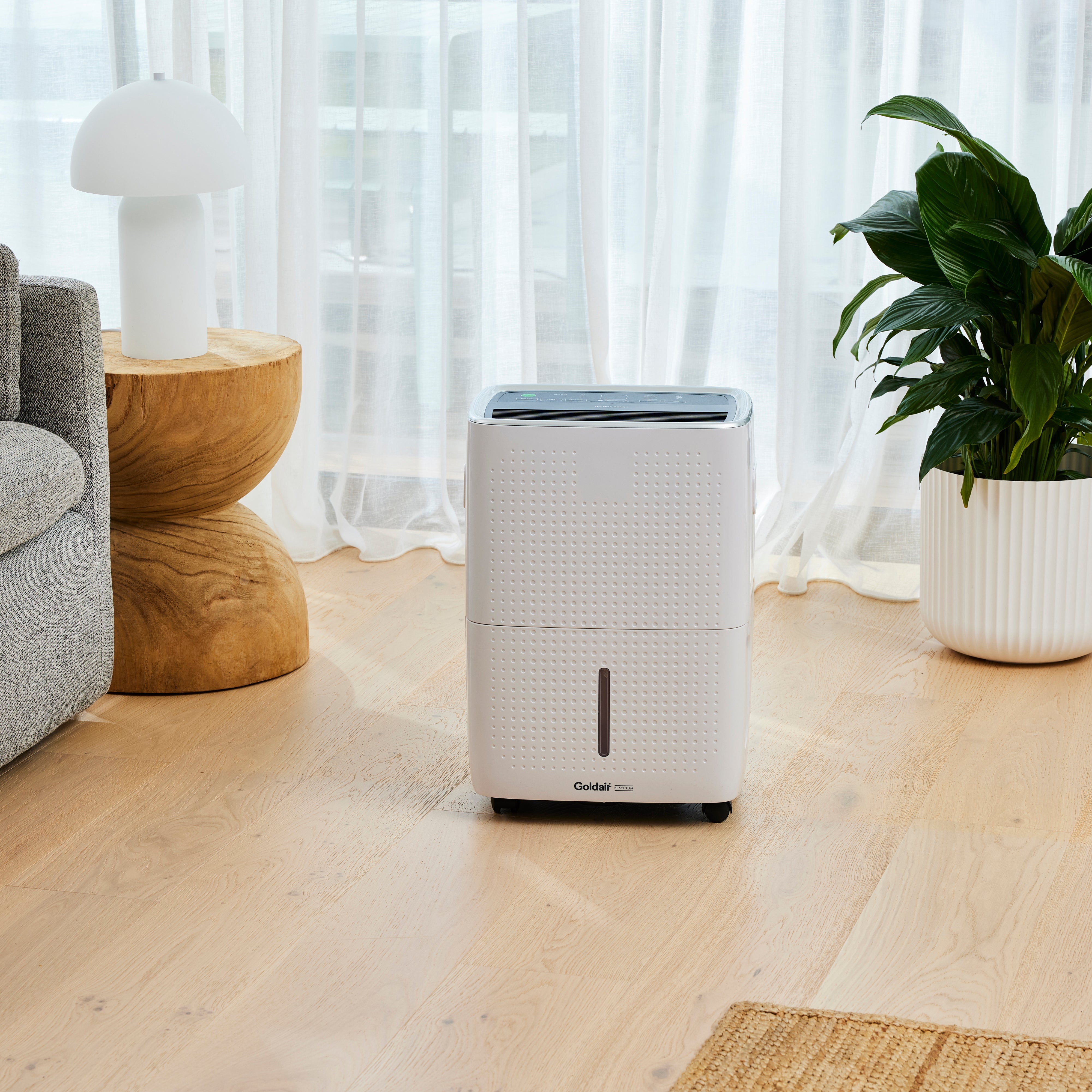 Compressor Dehumidifiers